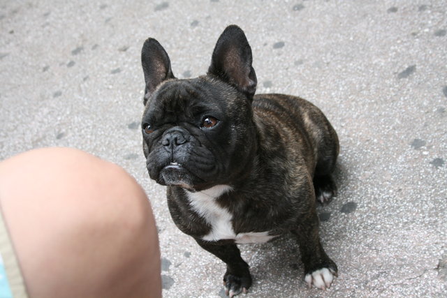 gal/cro 08/small-IMG_5063.JPG